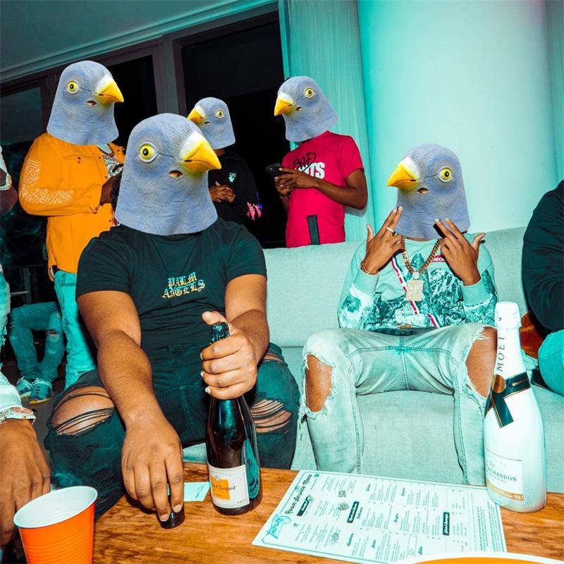 Güvercin Maskesi Kostümü Yenil - Skincare Pigeon incelemesi ve fiyatı