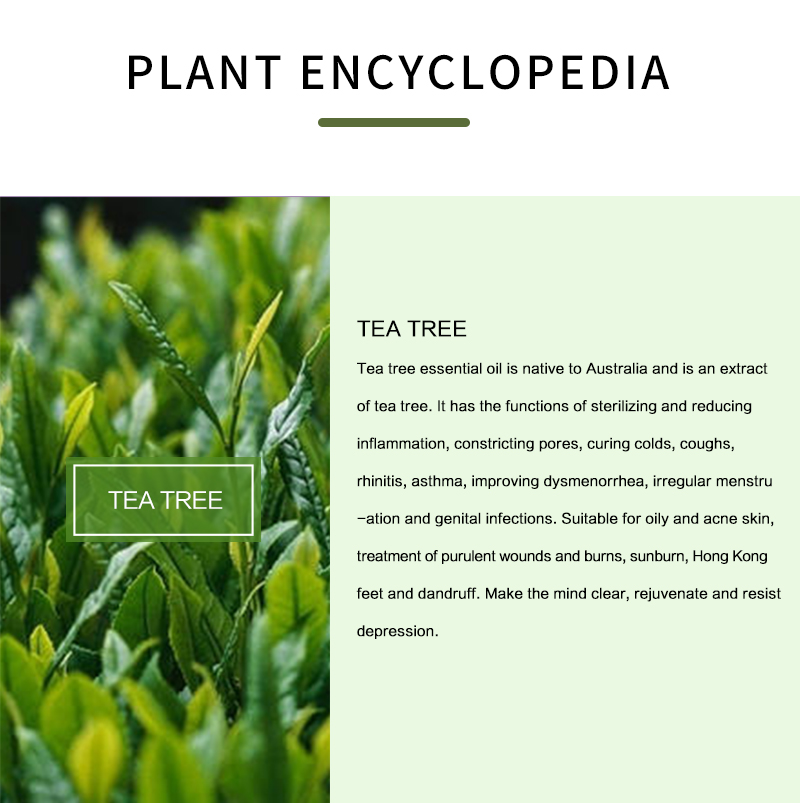 % 100% saf çay ağacı uçucu yağ - Tea Tree Spot Treatment incelemesi ve fiyatı